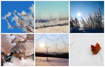 Photo collage contains winter season landscapes.