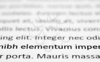 Closeup of lorem ipsum text on white paper, focused on foreground words.