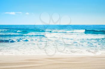 Tropical paradise beach. Summer caribbean sea background