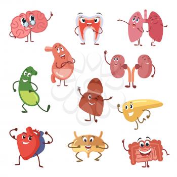 Human organs with funny emotions. Cartoon vector illustration isolate on white background, Cartoon character human organs, vital internal funny organ brain and kidney