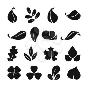 Black monochrome symbols of spring leaf. Vector shapes. Summer icon set isolate on white background. Silhouette black leaf, illustration of summer ecological leaf