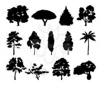 Monochrome illustrations of different trees silhouettes. Black wood tree with leaf vector