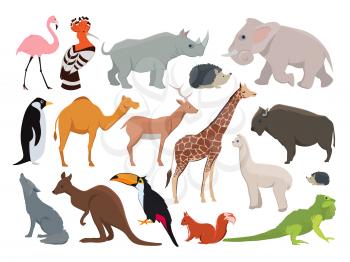 Cute wild animals in cartoon style. Vector illustration set isolate on white. Animal wild cartoon, zoo wildlife character rhinoceros and elephant