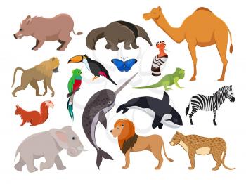 Zoo wild animals. Cute vector characters isolate on white. Parrot and camel animals cartoon, monkey and boar illustration