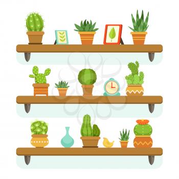 Cactuses in pots stand on the shelves. Decorative plants set isolate on white background. Vector illustrations set. Cactus flower on wooden shelf, natural tropical cactus in pot