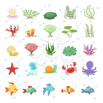 Marine animals, fishes collection and underwater plants. Aqua wild fauna. Vector illustration. Fish and fauna underwater, nature octopus and sea snail