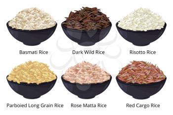 Different type of rice. Long grain, brown, white and other. Vector illustrations in cartoon style. Unpolished raw rice seed
