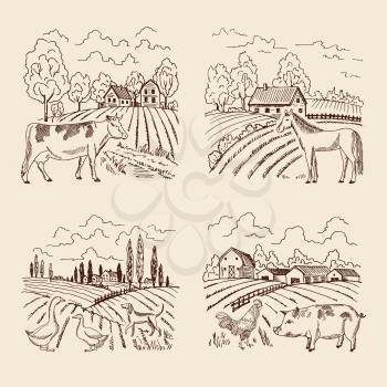 Vector village and big field. Landscape with farming and animals. Set of for illustrations in retro style. Village landscape with farm animals