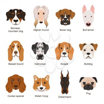 Different dogs. Vector illustrations set isolate on white. Friendly adorable dog friend