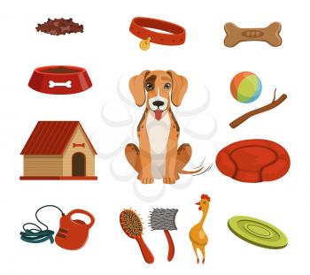 Different accessories for domestic pet. Dog in house. Vector illustrations set. Animal pet dog and accessories leash and dog kennel