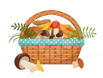 Different fresh mushrooms in basket. Vector illustrations set in cartoon style. Color mushroom in basket isolated on white