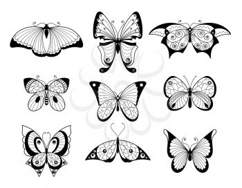 Set of different butterflies and bugs with beautiful patterns on wings. Hand drawn vector illustrations. Black white butterfly with pattern wings