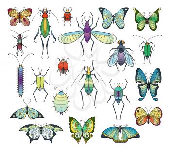 Colored insects isolate on white. Bugs and butterflies vector pictures set. Insect collection drawing, illustration of exotic insect