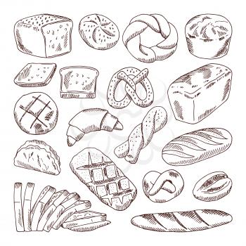 Different types of fresh bread. Vector hand drawn illustrations of bakery foods. Bread food and bakery fresh