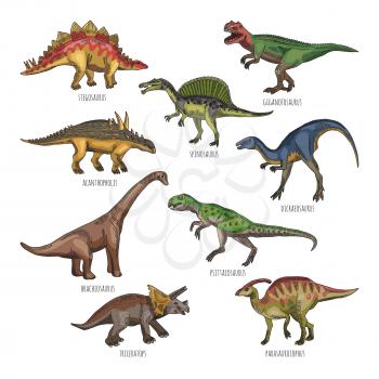 Colored illustrations of different dinosaurs types. Tyrannosaurus, rex and stegosaurus. Historical dinosaur character dicraeosaurus and spinosaurus illustration