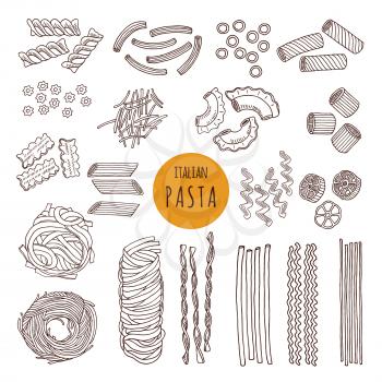 Different types of italian pasta. Hand draw vector illustrations. Sketch food italian pasta, different doodle traditional spaghetti