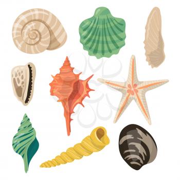 Shells of sea in sand. Aquatic vector icons in cartoon style. Seashell and marine scallop illustration