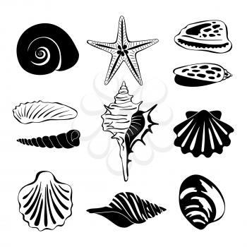 Black monochrome illustration of marine shells. Vector silhouette isolate. Seashell exotic souvenir, spiral maritime shells