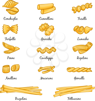 Different types of pasta. Traditional italian food. Pictures in cartoon style. Vector set of italian pasta food illustration