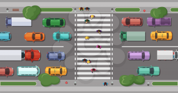 Vector road with cars in front of pedestrian zone with walking people. Crosswalk and transportation movement illustration