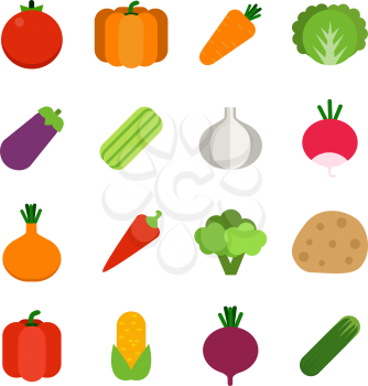 Illustrations of healthy vegetables. Vector icon set in flat style vegetable carrot and tomato, pepper and radish, eggplant and corn