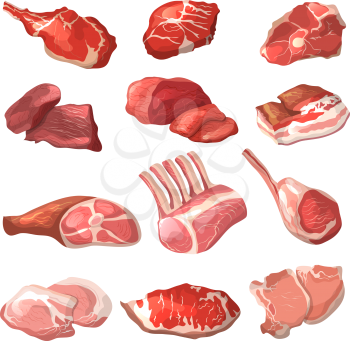 Lamb, pork beef, and other meat pictures in cartoon style. Steak of beef, raw pork meat. Vector illustration