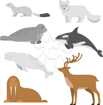 Northern and arctic animals. Vector illustrations in flat style. Wild animal arctic, fox and whale, walrus and reindeer