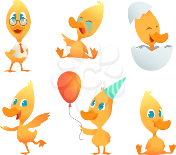 Illustrations of funny duck. Vector cartoon animals in action poses. Duck bird pose, yellow character duckling collection