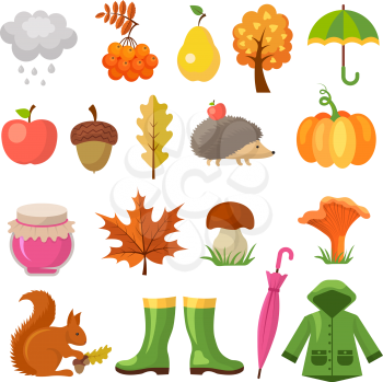 Autumn colored symbols. Vector icon set of autumn. Plant and mushroom, squirrel and hedgehog illustration