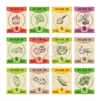 Vector vegetables illustrations on price cards for farmers market. Hand drawn pictures set of organic natural farm vegetable