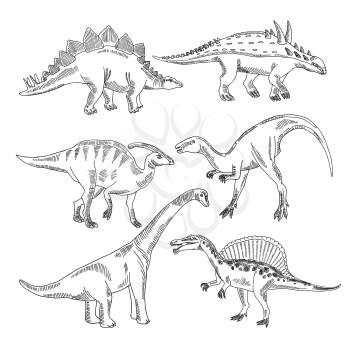 Stegosaurus, triceratops tyrannosaurus and other dinosaur types. Vector hand drawn pictures isolate. Vintage reptile drawing illustration