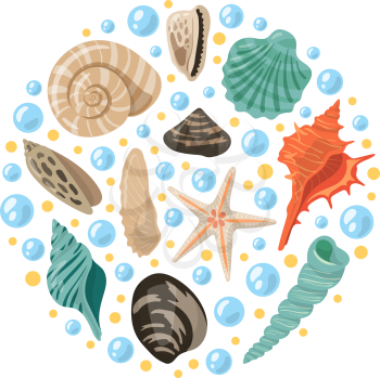 Different tropical shells in circle shape. Vector aquatic concept illustrations. Tropical shell marine underwater, conch frame spiral