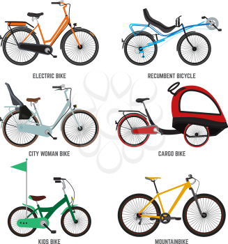 Different type of bicycles for male female and kids. Bikes for family. Vector illustrations kids bike and mountain bike isolate on white