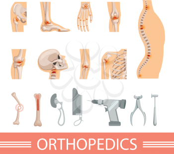 Orthopedic icons set. Human skeleton, bones and different medical accessories. Human orthopedic icon spine and hand, ankle and knee. Vector illustration