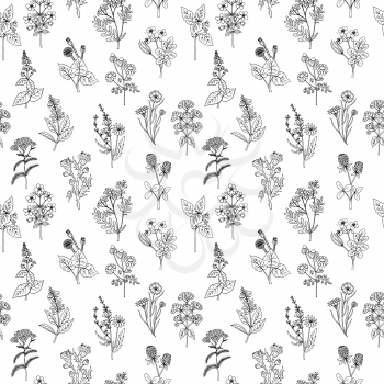 Seamless pattern of various hand drawn herbs and flowers. Background in black and white colors. Graphic style. Vector illustration