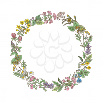 Wreath from hand drawn herbs and flowers isolated on a white background. Frame with place for your text. Vector illustration