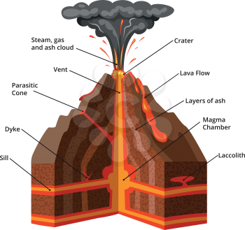 Vector infographic illustration. Cross section of volcano with lava and magma eruption