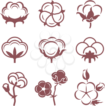 Monochrome stylized pictures set of white cotton flowers. Vector illustrations set. Cotton flower plant, organic ball fluffy boll