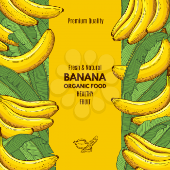 Retro poster with illustration of banana and place for your text. Banana food banner, tropical fruit