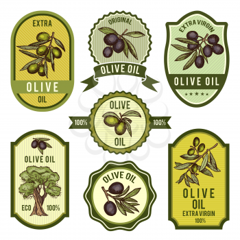 Colored labels for package design. Pictures of olive oil label and stickers. Vector illustration