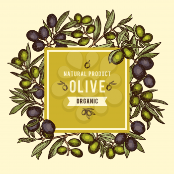Floral background with olive branches and other health foods. Vector illustrations organic olive vintage in hand drawn style