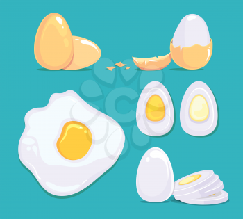 Raw and cooked eggs in different conditions. Vector cartoon pictures. Cooked egg raw and boiled, fresh protein ingredient illustration