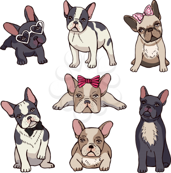 Funny puppies of french bulldog. Vector funny french bulldog, puppy cute, pet drawing sketch illustration