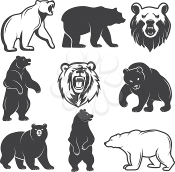 Monochrome illustrations of stylized bears. Pictures set for logos or badges design. Vector bear animal, wild mammal monochrome silhouette