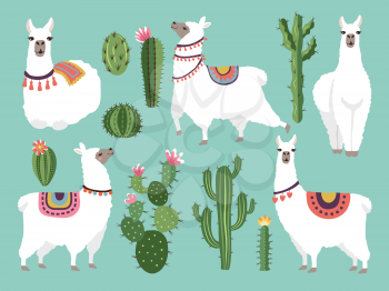 Illustrations of funny llama. Vector animal in flat style. Alpaca character and lama, nature wildlife