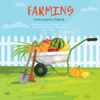 Cartoon background illustration of wheelbarrow with vegetables. Harvest farm vegetable and fruits vector