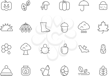 Linear autumn symbols. Vector icons set isolate. Seasonal foliage botany, bat and mushroom, hedgehog and pumpkin illustration