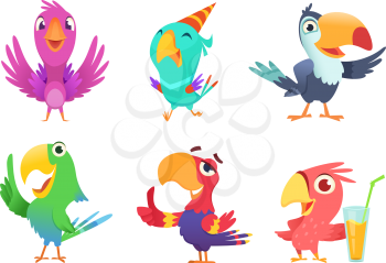 Cartoon parrots characters. Cute feathered birds with colored wings funny exotic parrot various action poses vector pictures isolated. Parrot animal exotic, bird tropical cartoon illustration