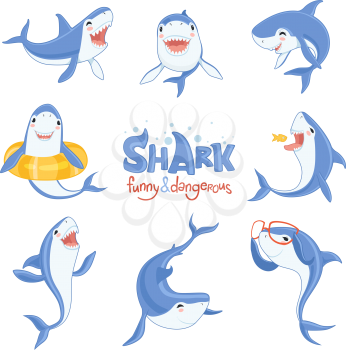 Shark cute animal. Fish attack playing hungry and happy ocean sea shark with big teeth scary blue vector characters. Illustration of shark ocean, fish predator underwater