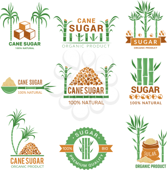 Sugarcane manufacturing. Sweets plants production farm industry leaf vector badges or labels with place for your text. Illustration of eco agriculture production sugar